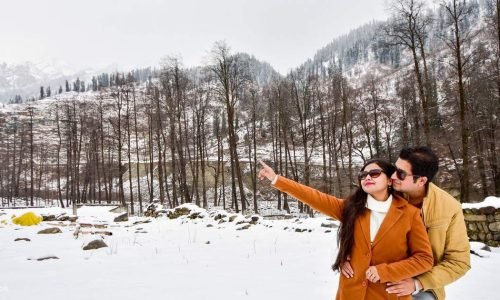 Manali Honeymoon Tour Package
